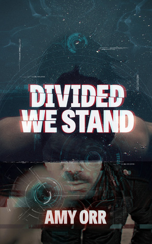 Divided We Stand