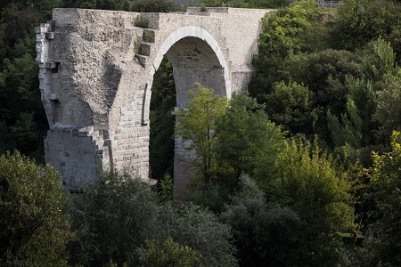 Rise of the Wolf Picture 1